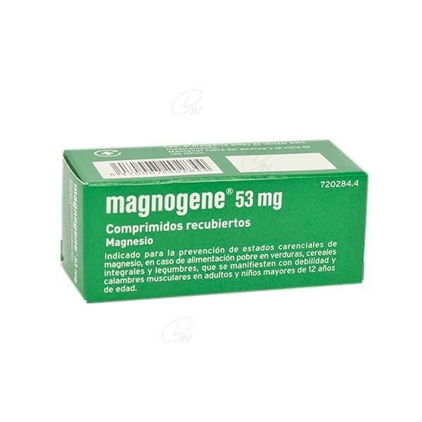 MAGNOGENE 53 mg COMPRIMIDOS RECUBIERTOS