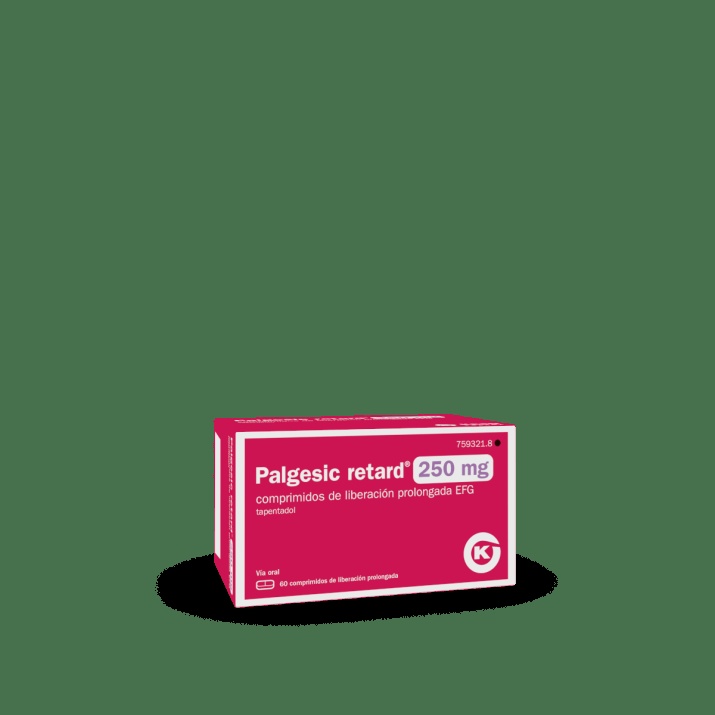 PALGESIC RETARD 250 MG COMPRIMIDOS DE LIBERACIÓN PROLONGADA EFG