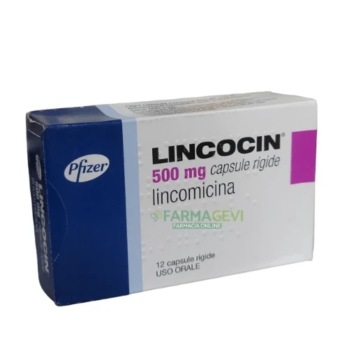 LINCOCIN