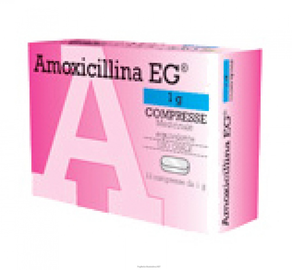 AMOXICILLINA EG