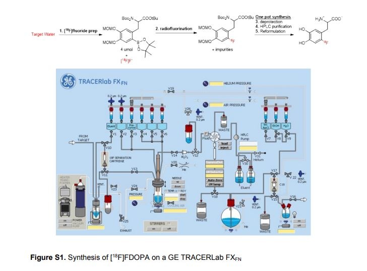 fluorodopa-18f-curium-austria-concentrato-per-soluzione-iniettabile-0-3-gbq-ml