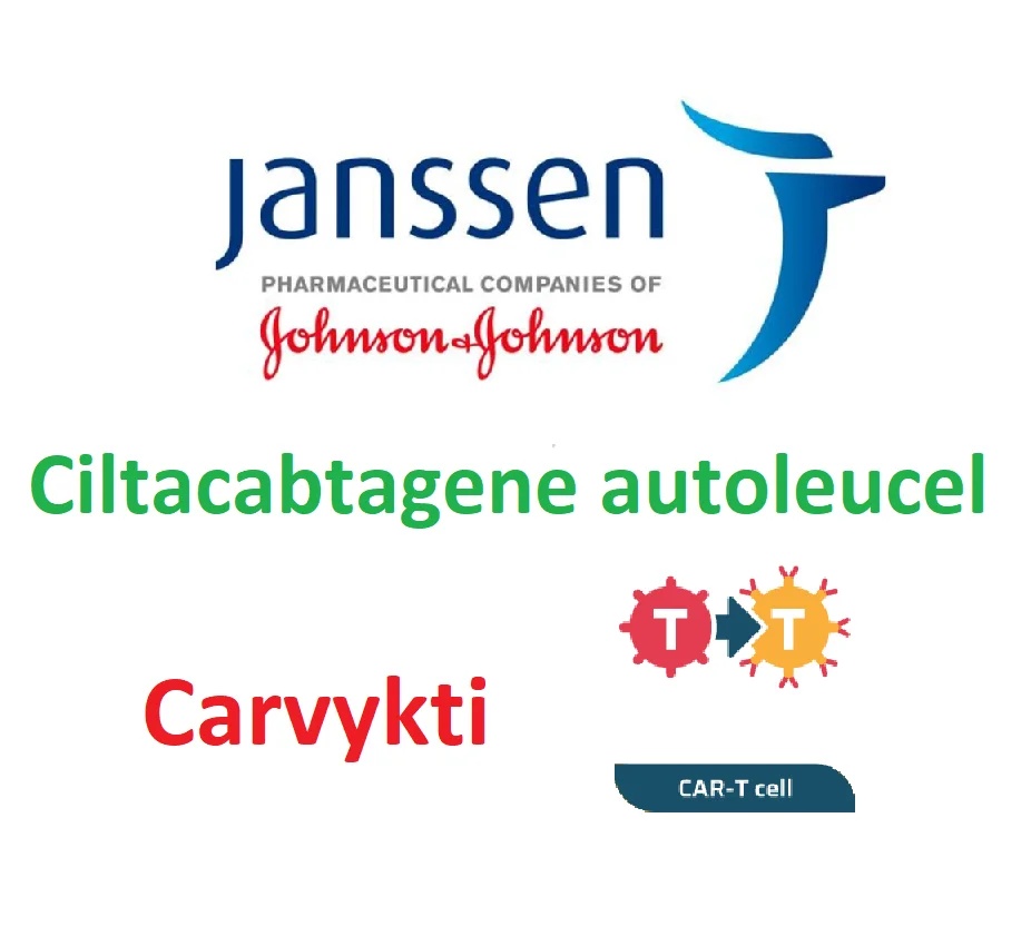 carvykti-dispersione-per-infusione-3-2-10-alla-sesta-1-0-10-alla-ottava