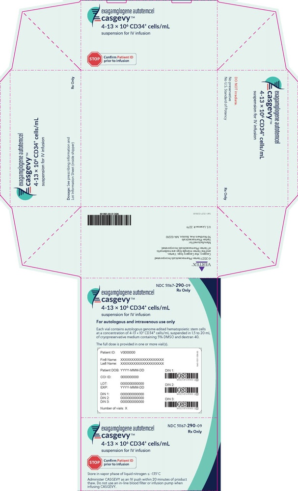 casgevy-dispersione-per-infusione-4-13-10-alla-sesta-cellule-ml