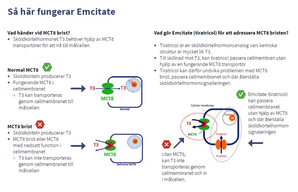 emcitate-compressa-dispersibile-350-g
