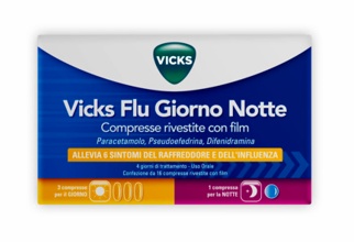 VICKS FLU GIORNO NOTTE