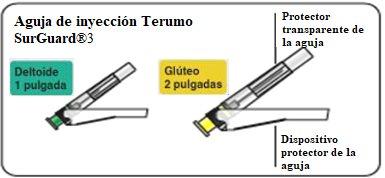 Terumo SurGuard&reg;3 needle with transparent protector showing lengths for deltoid injection of 1 inch and gluteal injection of 2 inches