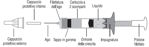 Siringa schematica con ago, tappo in gomma, ormone della crescita, pistone filettato e cappucci protettivi esterno e interno
