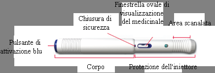 Iniettore penna con corpo cilindrico grigio, pulsante blu e protezione dell