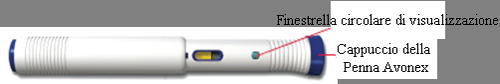Penna Avonex bianca con cappuccio blu e finestra di visualizzazione circolare con indicatore giallo e punto verde
