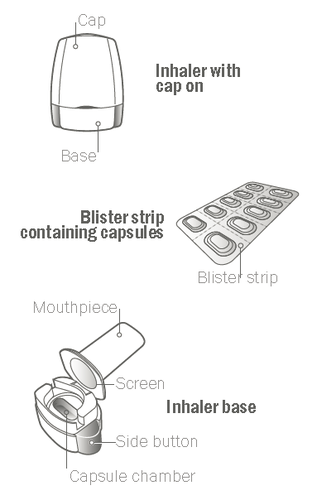 Inalatore con cappuccio, striscia blister con capsule, bocchino e base con schermo e camera capsula