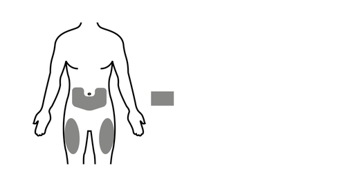 Schema del corpo umano con area pelvica ombreggiata e rettangolo grigio a destra