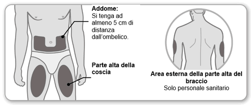 Schema del corpo umano con aree di iniezione indicate sull