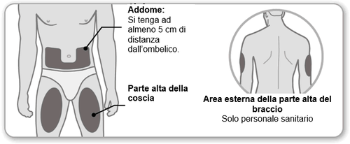 Schema del corpo umano con indicazioni per l