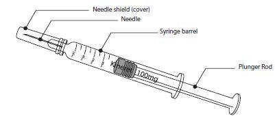 Siringa preriempita con indicazioni di parti anatomiche: ago, protezione ago, corpo siringa, stantuffo e rod di spinta