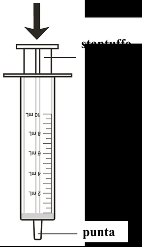 Siringa graduata da 10 ml con ago rivolto verso il basso e indicazioni testuali di