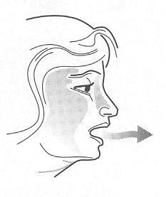 Profilo di una testa femminile con freccia che indica la zona della mascella e bocca serrata