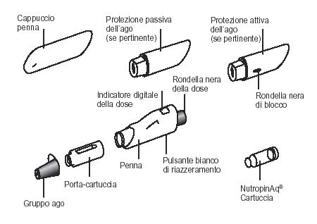 Penna da insulina con componenti separati: cappuccio, protezione ago, indicatore dose, pulsante bianco e cartuccia NutropinAq