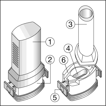 Dispositivo inalatorio smontato con componenti numerate da 1 a 6, include serbatoio, base e maschera parziale