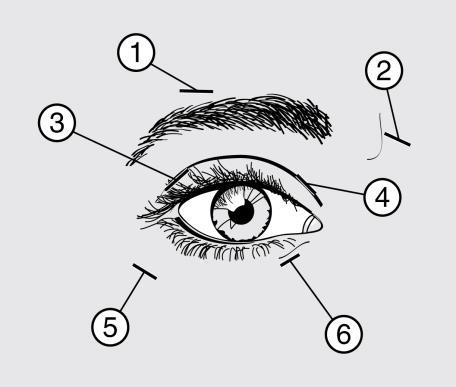 Occhio umano con indicazioni numerate da 1 a 6 su sopracciglio, palpebra superiore, ciglia, iride, palpebra inferiore e angolo interno