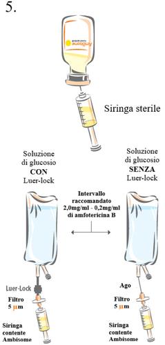 Siringa sterile che riempie sacche di glucosio con attacchi Luer-lock e filtri da 5&micro;m per infusione di amfotericina B