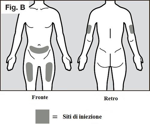 Schema corporeo con aree ombreggiate che indicano i siti di iniezione su fianchi, addome e braccia vista frontale e posteriore
