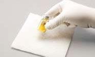 Mano con guanto che tiene una fiala gialla sopra un tampone di cotone bianco su sfondo bianco