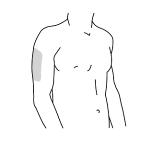 Schema del torso umano con area ombreggiata sulla parte superiore del braccio sinistro indicante il sito di iniezione