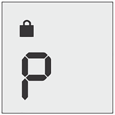 Simbolo di un lucchetto nero sopra la lettera &ldquo;p&rdquo; stilizzata in nero su sfondo grigio chiaro