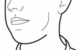 Profilo stilizzato di testa e collo con linea che indica la posizione della mandibola e del collo