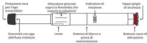 Autoiniettore farmaceutico con componenti etichettati: protezione ago, lenti, sistema di blocco, bottone rosso e tappo di sicurezza