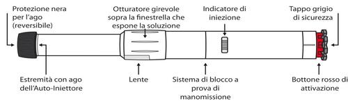 Siringa Auto-iniettore con componenti etichettati: protezione ago, lenti, sistema di blocco, indicatore iniezione e tappo di sicurezza