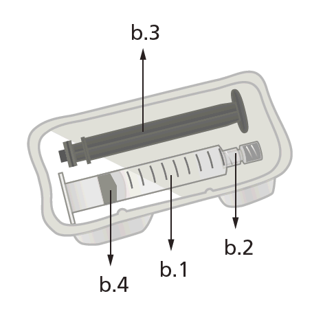 Siringa schematica trasparente con stantuffo grigio e ago metallico, indicazioni numeriche b1, b2, b3, b4 puntano a diverse parti