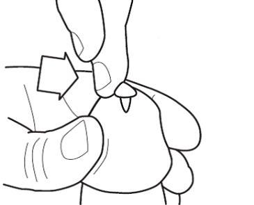 Mano che afferra una capsula oblunga con una freccia che indica il punto di pressione e un dito che la sostiene