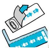 Capsula ovale bianca in blister trasparente con frecce azzurre che indicano l