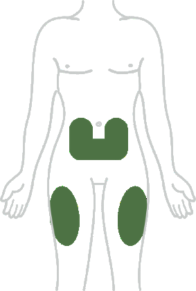 Corpo umano stilizzato con aree verdi che evidenziano regioni di accumulo di grasso addominale e sui fianchi