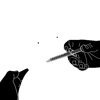 Mano che tiene una siringa con ago rivolto verso l