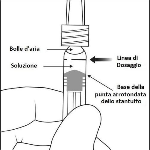 Siringa con stantuffo e ago, indicazioni frecce su bolle d