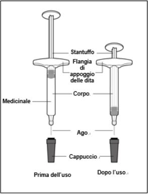Siringa schematica con stantuffo, flangia, corpo, ago e cappuccio prima e dopo l