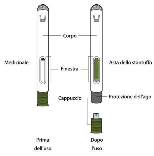 Due penne per insulina con indicazioni di corpo, finestra, medicinale, asta dello stantuffo e cappuccio, prima e dopo l
