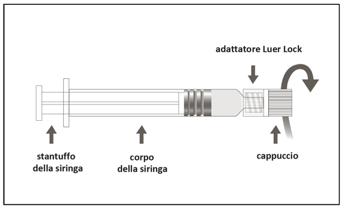 Siringa con adattatore Luer Lock evidenziato da frecce che indicano rotazione e direzione di inserimento stantuffo e cappuccio