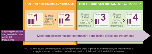 Schema di trattamento con quattro cicli da 12 mesi intervallati da pause di almeno 3 mesi e monitoraggio continuo per 4 anni