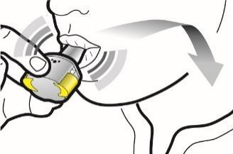 Dispositivo autoiniettante premuto sulla coscia con freccia che indica la direzione di iniezione e area evidenziata in giallo