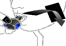 Ago che penetra nella pelle con un