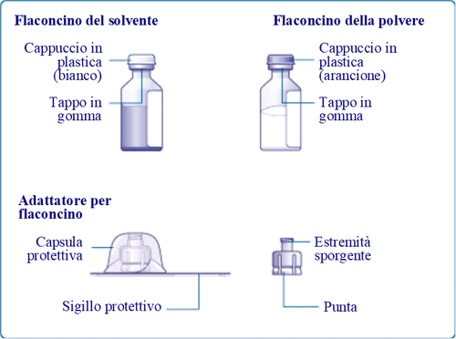 Due flaconcini medicinali, uno con solvente e uno con polvere, con tappi in gomma e capsule protettive associate