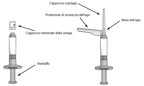 Siringa con stantuffo e ago protetto da cappuccio, frecce indicano le parti componenti come base ago e protezione sicurezza