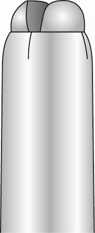 Capsula oblunga bianca con due sezioni arrotondate e una linea scura verticale che le divide