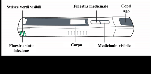 Dispositivo medico penna iniettabile con corpo grigio, finestra stato iniezione verde, medicinale visibile e copri ago