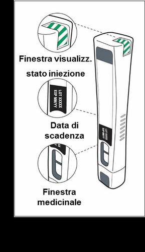 Dispositivo autoiniettante con finestra visuale, indicatore stato iniezione, data di scadenza e finestra medicinale