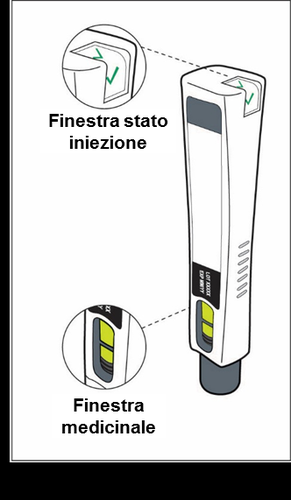 Dispositivo autoiniettante con indicazioni delle finestre per lo stato dell