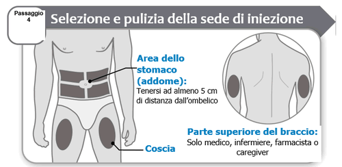 Schema del corpo umano con aree evidenziate per l